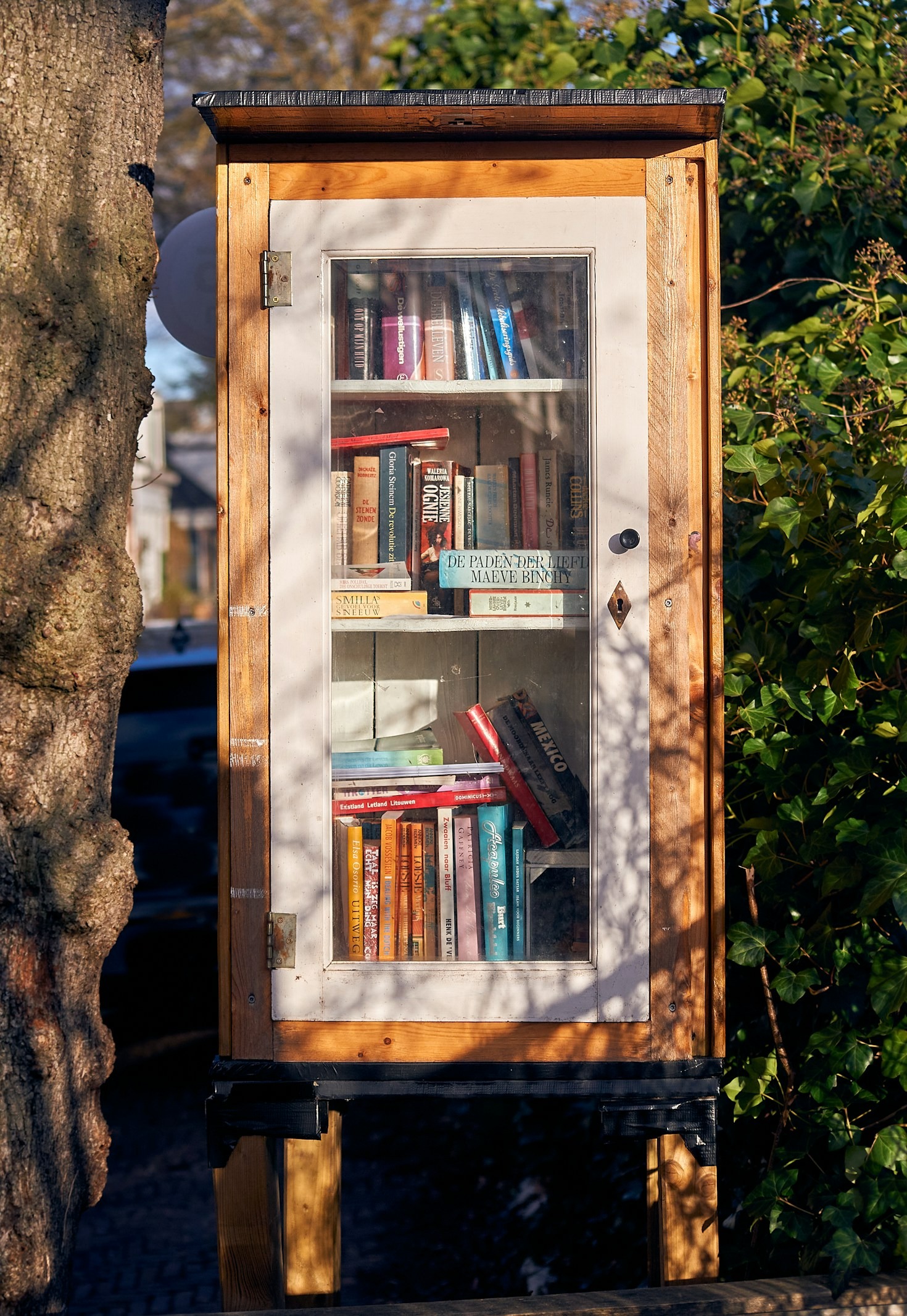 The Intersection of Taste and Knowledge
